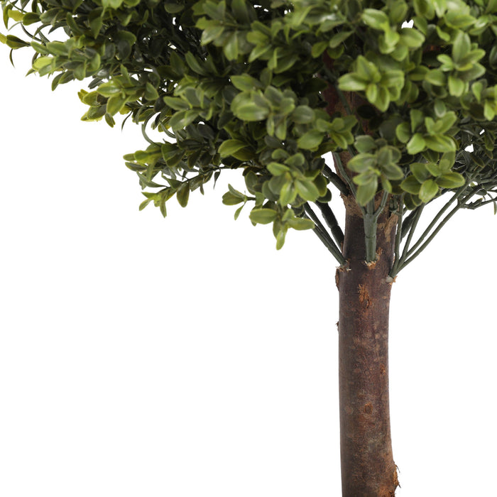 UV Boxwood Oval 24 Inch Topiary