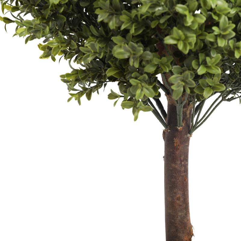 UV Boxwood Oval 24 Inch Topiary