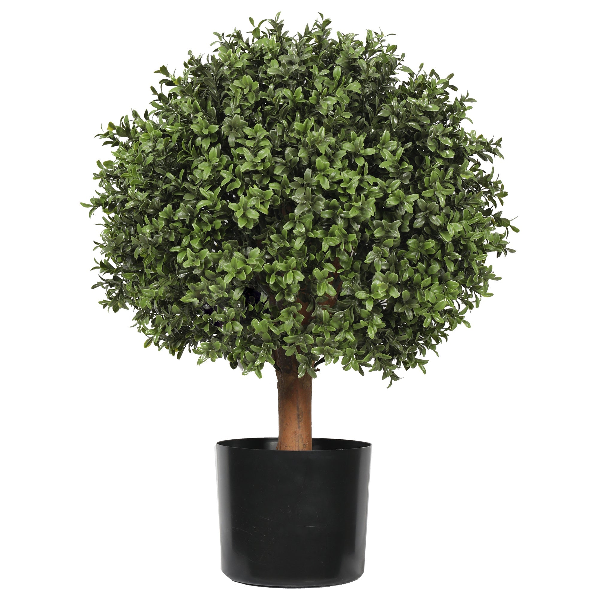 UV Boxwood Ball 16 X 25" Topiary