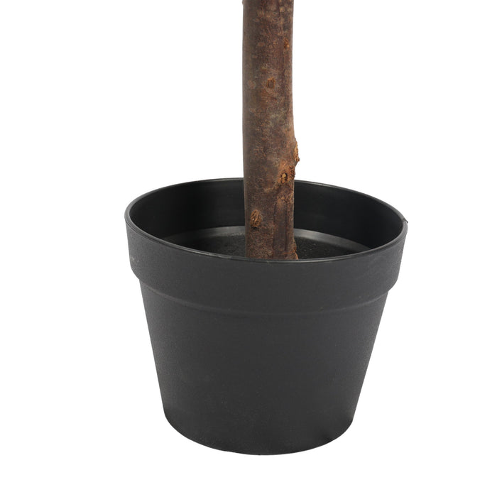 UV Boxwood Oval 24 Inch Topiary