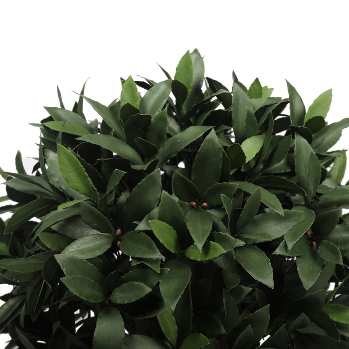 UV Bay Laurel Ball Topiary - 30 Inch