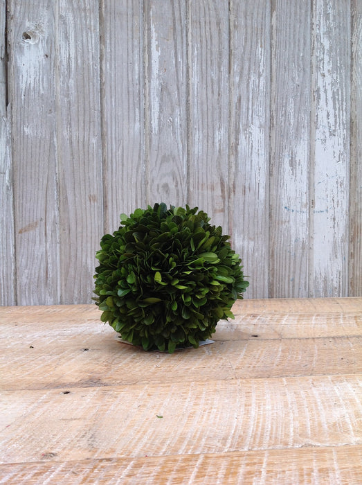 Preserved Boxwood Ball - 6" - HOME DECORATIVE ACCENTS - 2