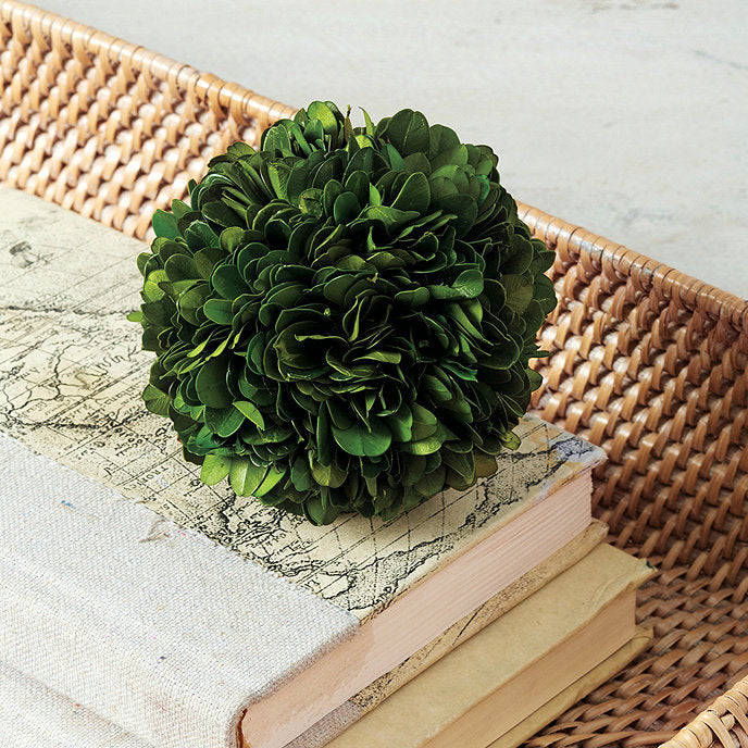 Preserved Boxwood Ball - 4 Inch - Set of 3