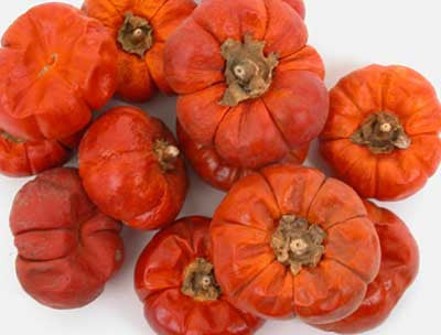 Mini Pumpkins - Set of 12 - HOME DECORATIVE ACCENTS