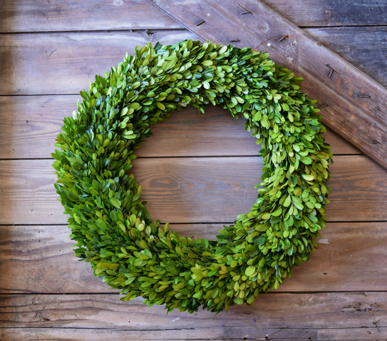 Preserved Boxwood Round Wreath - 20