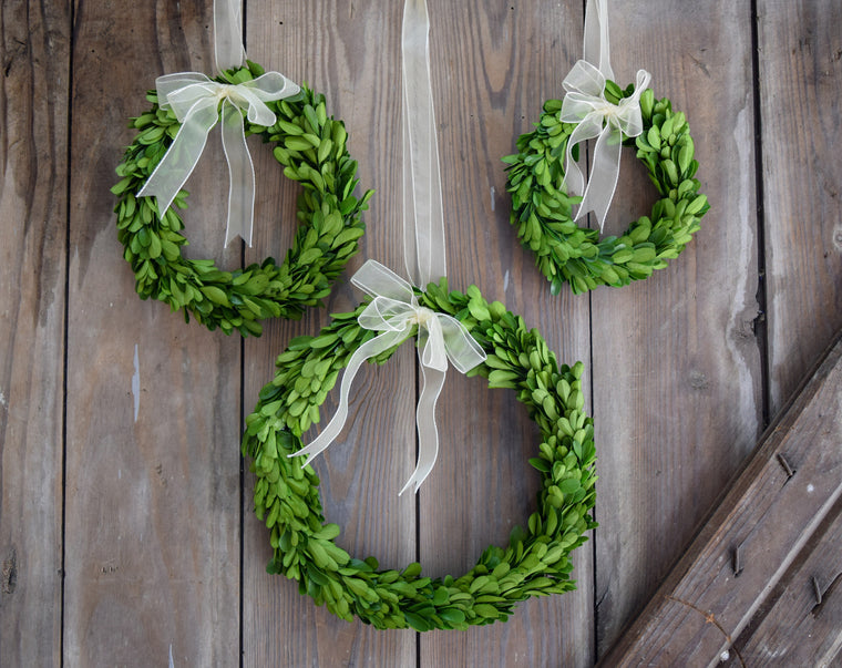 Preserved Boxwood Round Wreaths - Set of 3
