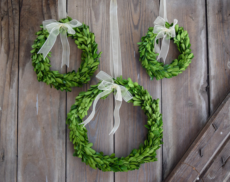 Preserved Boxwood Round Wreaths - Set of 3