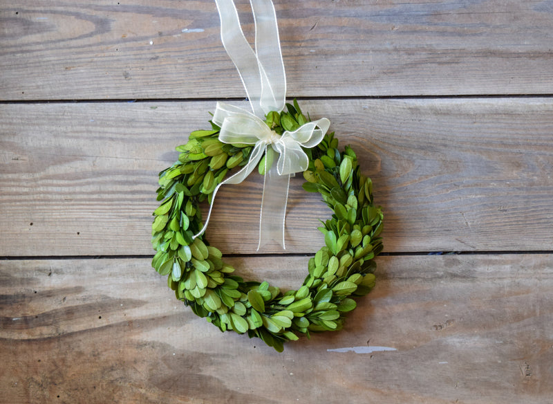 Preserved Boxwood Round Wreath - 8"