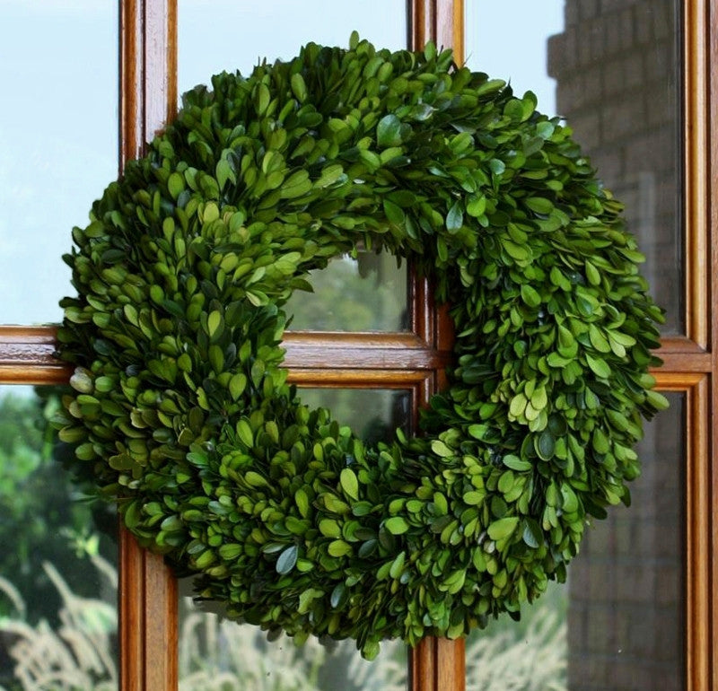 Preserved Boxwood Round Wreath - 16"