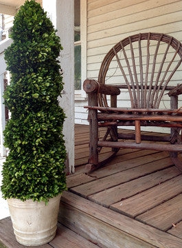 Preserved Boxwood Spiral Topiary - 51" - HOME DECORATIVE ACCENTS - 2