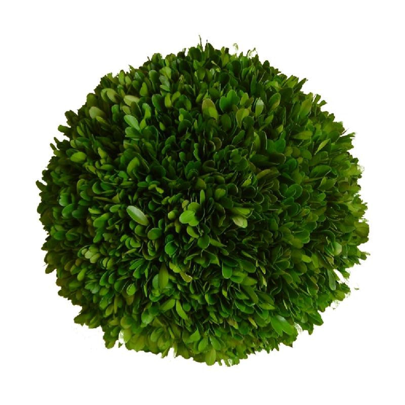 Preserved Boxwood Ball - 10" - HOME DECORATIVE ACCENTS