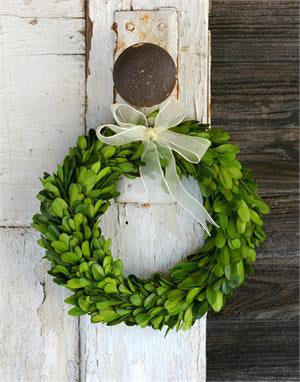 Preserved Boxwood Round Wreath - 8" - HOME DECORATIVE ACCENTS - 1