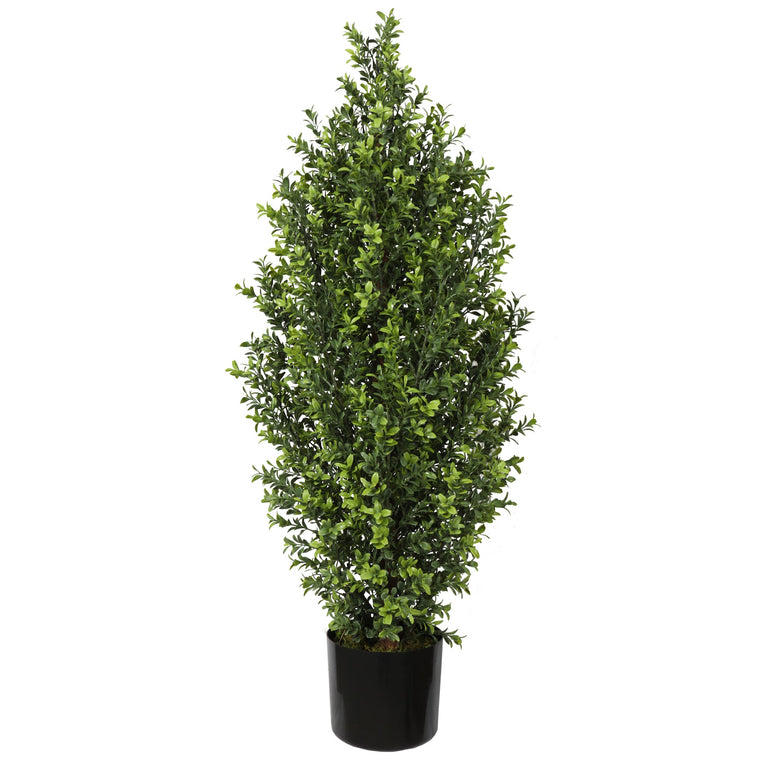 UV Boxwood Shrub 36