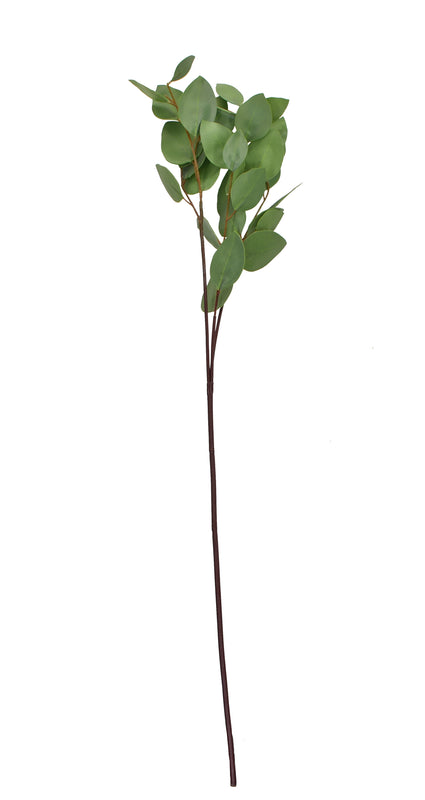 Silver Dollar Eucalyptus Spray 31 Inch