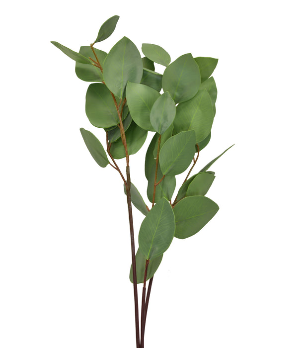 Silver Dollar Eucalyptus Spray 31 Inch