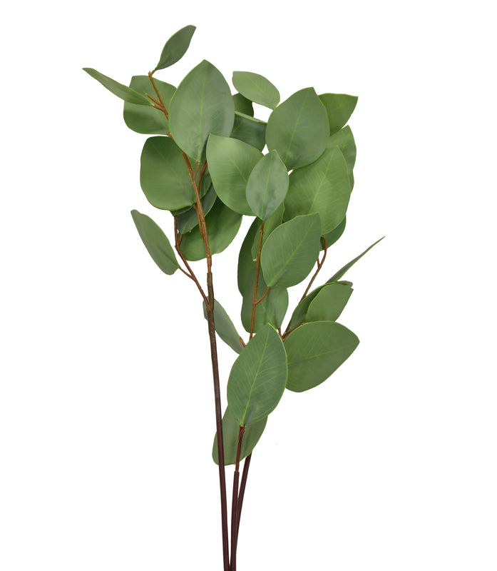 Silver Dollar Eucalyptus Spray 31 Inch