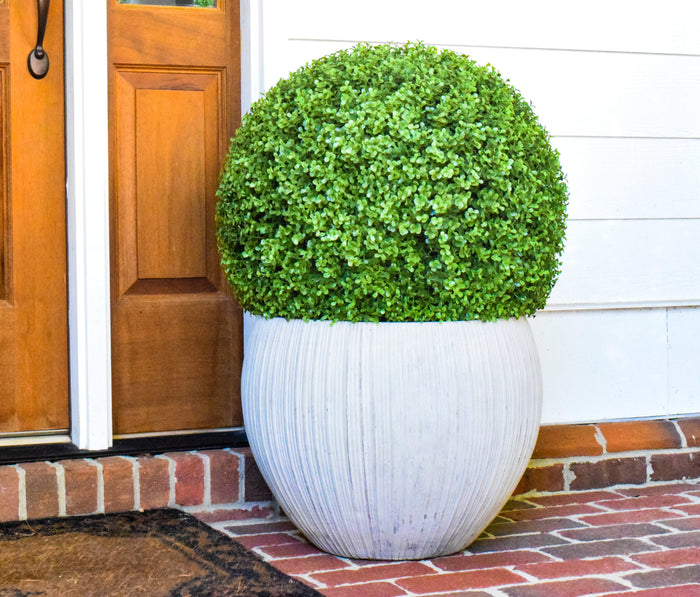 Faux Boxwood Ball - 21.5" - Set of 2 - HOME DECORATIVE ACCENTS - 2