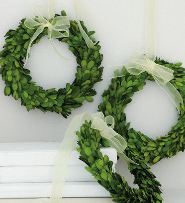 Preserved Boxwood Round Wreath - 8" - HOME DECORATIVE ACCENTS - 2