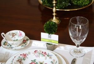 Mini Boxwood Topiary - 6" - Set of 2