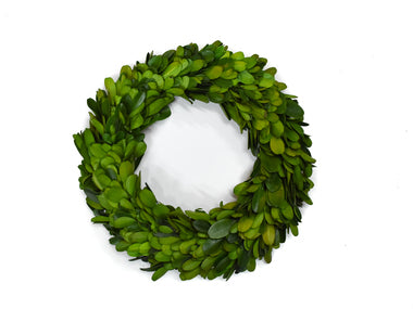 Preserved Boxwood Ring 8"