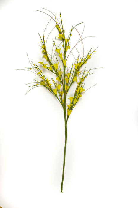 Golden Yellow Forsythia Spray - 32" - Set of 6 - HOME DECORATIVE ACCENTS - 1