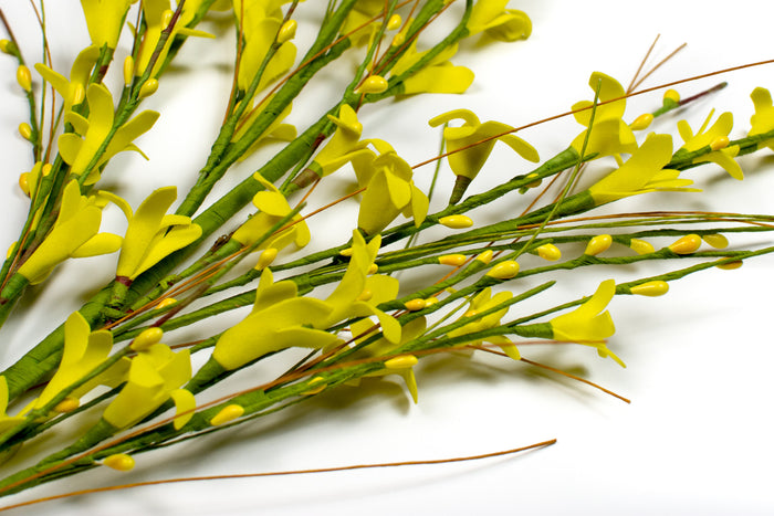 Golden Yellow Forsythia Spray - 32" - Set of 6 - HOME DECORATIVE ACCENTS - 2