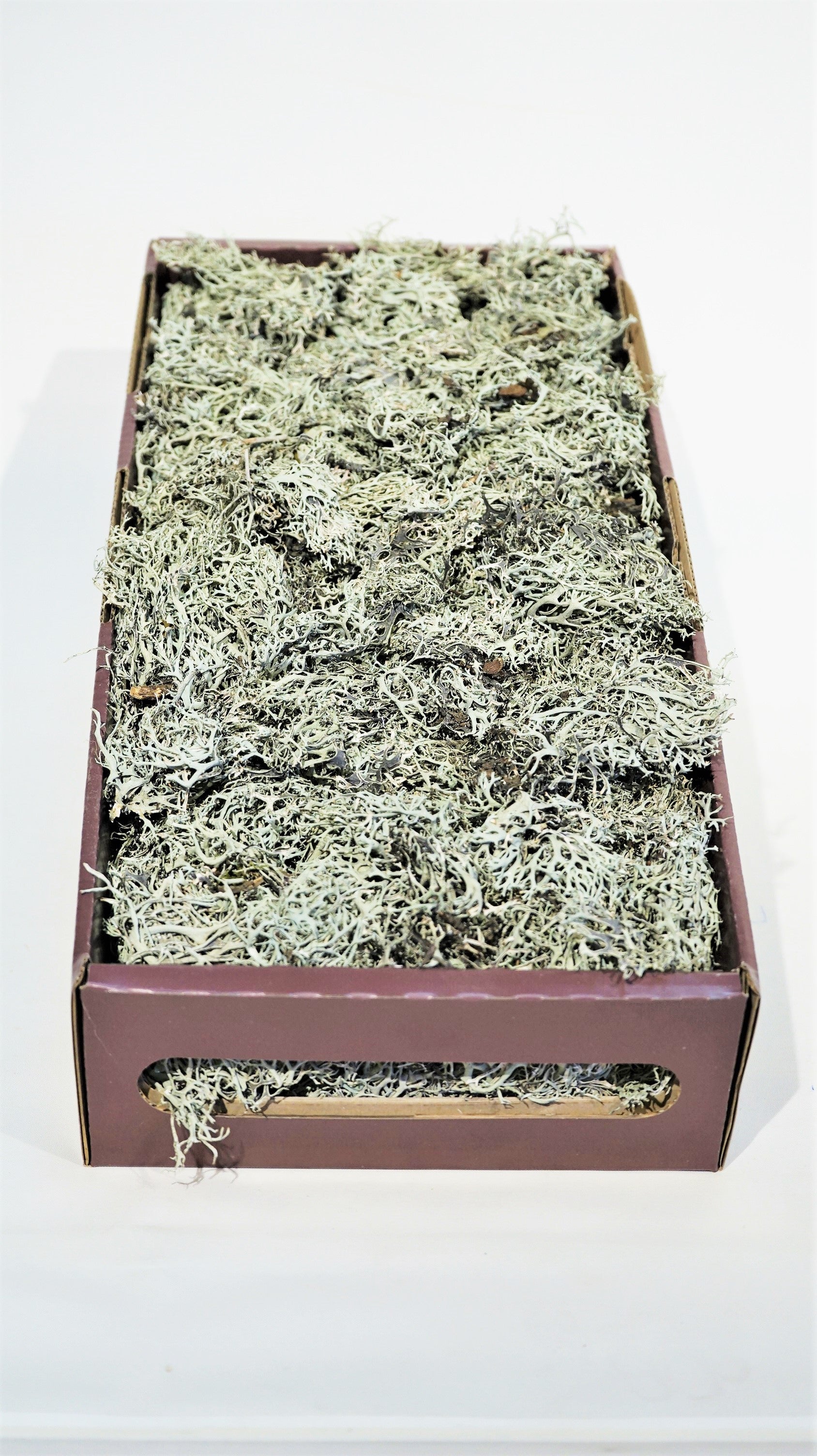 GREY MOSS BULK NATURAL - 500 GRAM – HOME DECORATIVE ACCENTS