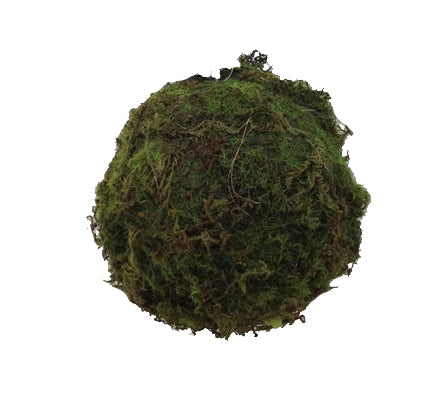 Mossy Sphere 5"