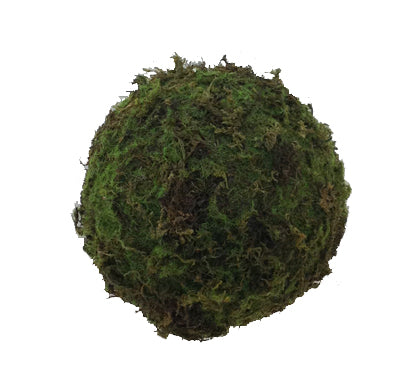 Mossy Sphere 6"