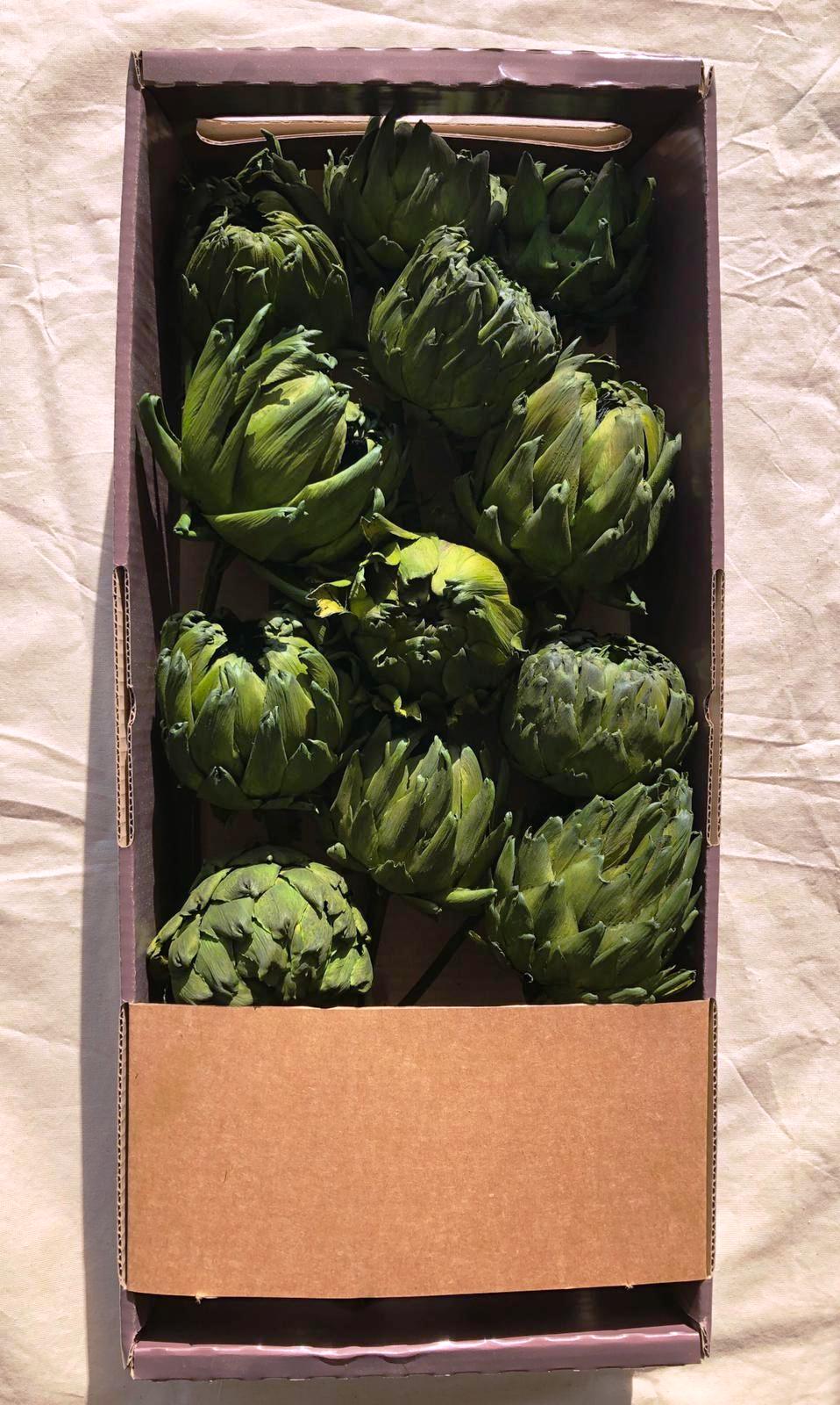 ARTICHOKES-GREEN-DYED-20-PCS