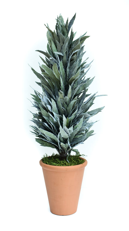 Preserved Mahonia Frosted Cone Topiary - 24"