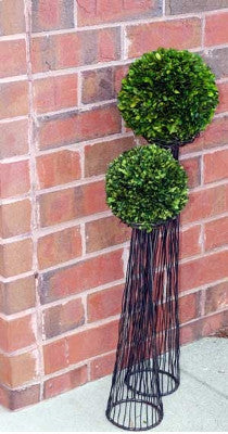 Preserved Boxwood Ball - 8" - HOME DECORATIVE ACCENTS - 2