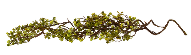 Twig Berry Vine Green 48"