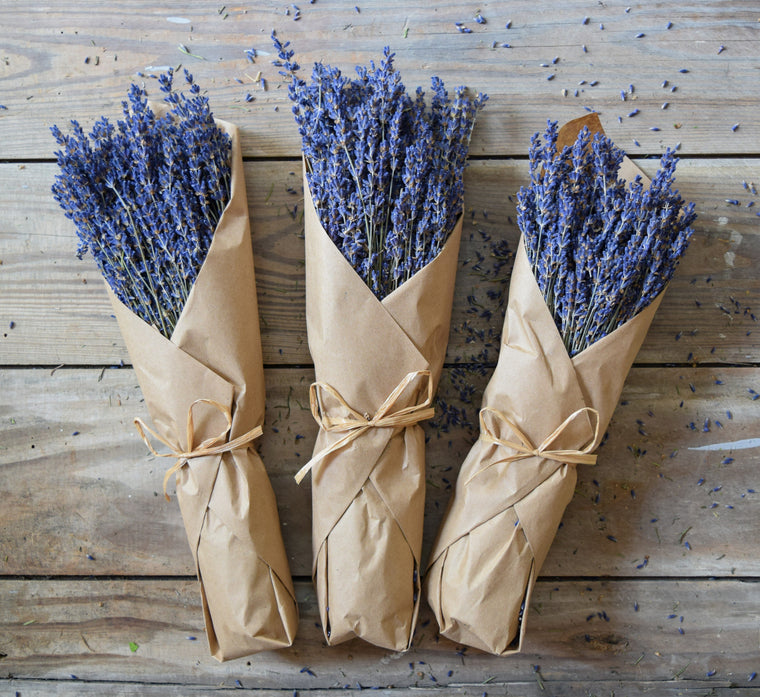 Dried French Lavender Bunch - Natural - Kraft Paper - Set of 3