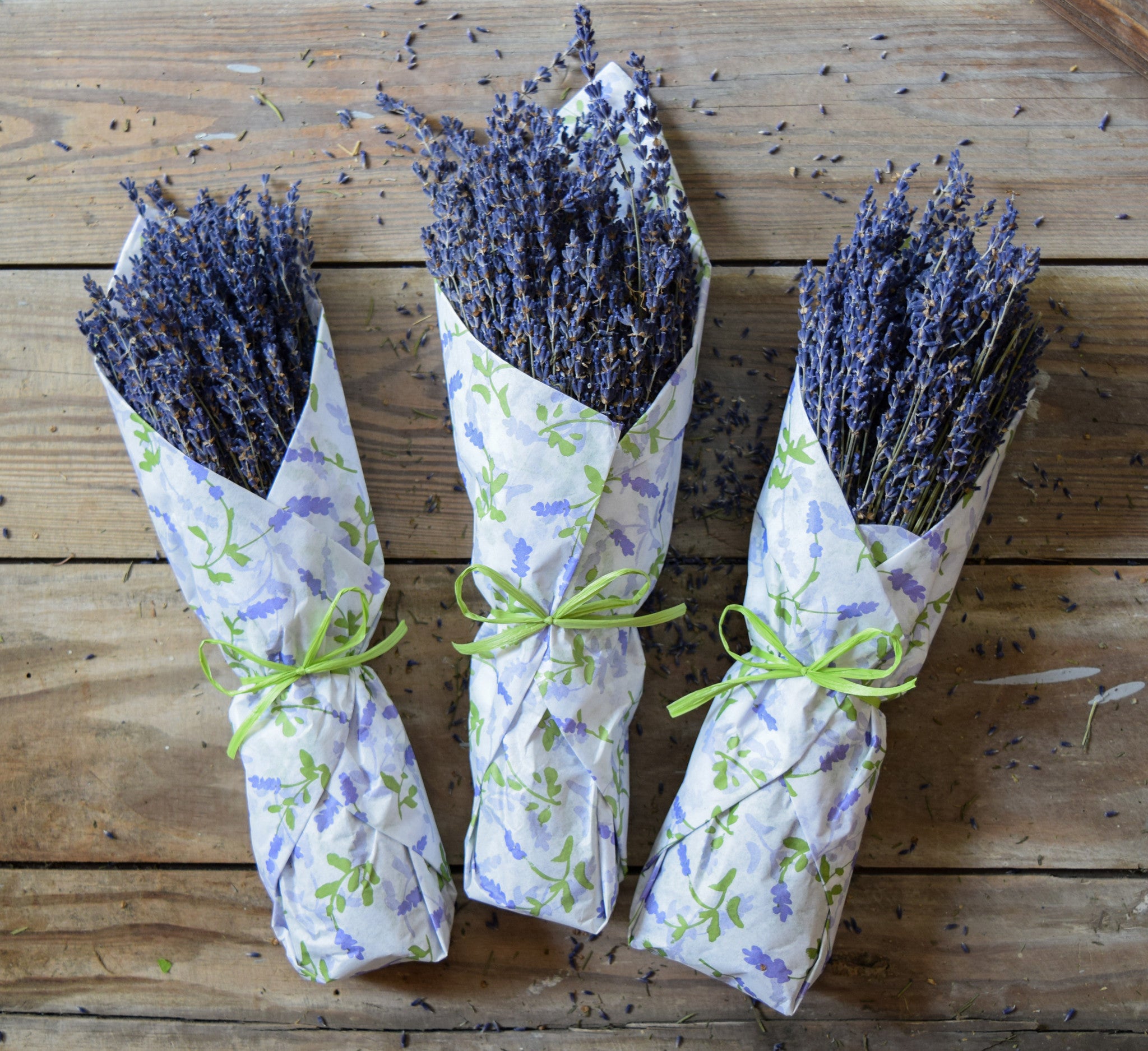 Dried French Lavender Bunch - Natural - Tissue Wrapped - Set of 3
