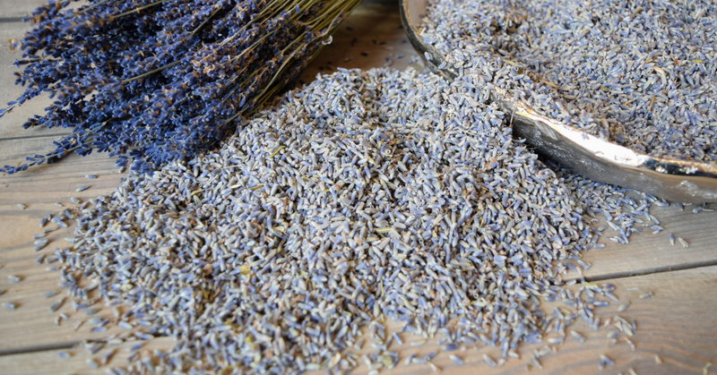 French Lavender Buds - Natural - 1 Pound Bag