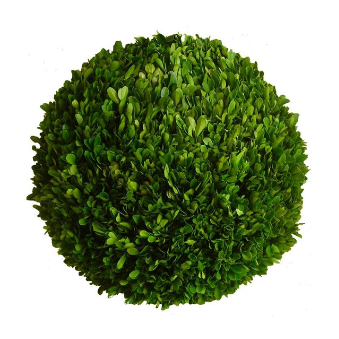Preserved Boxwood Ball - 16" - HOME DECORATIVE ACCENTS - 1