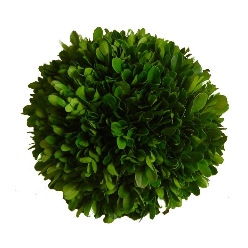 Preserved Boxwood Ball - 4" - HOME DECORATIVE ACCENTS - 1