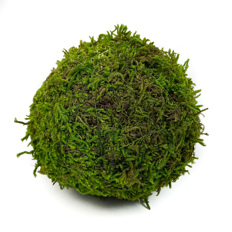 Decorative Moss Balls Set of 2
