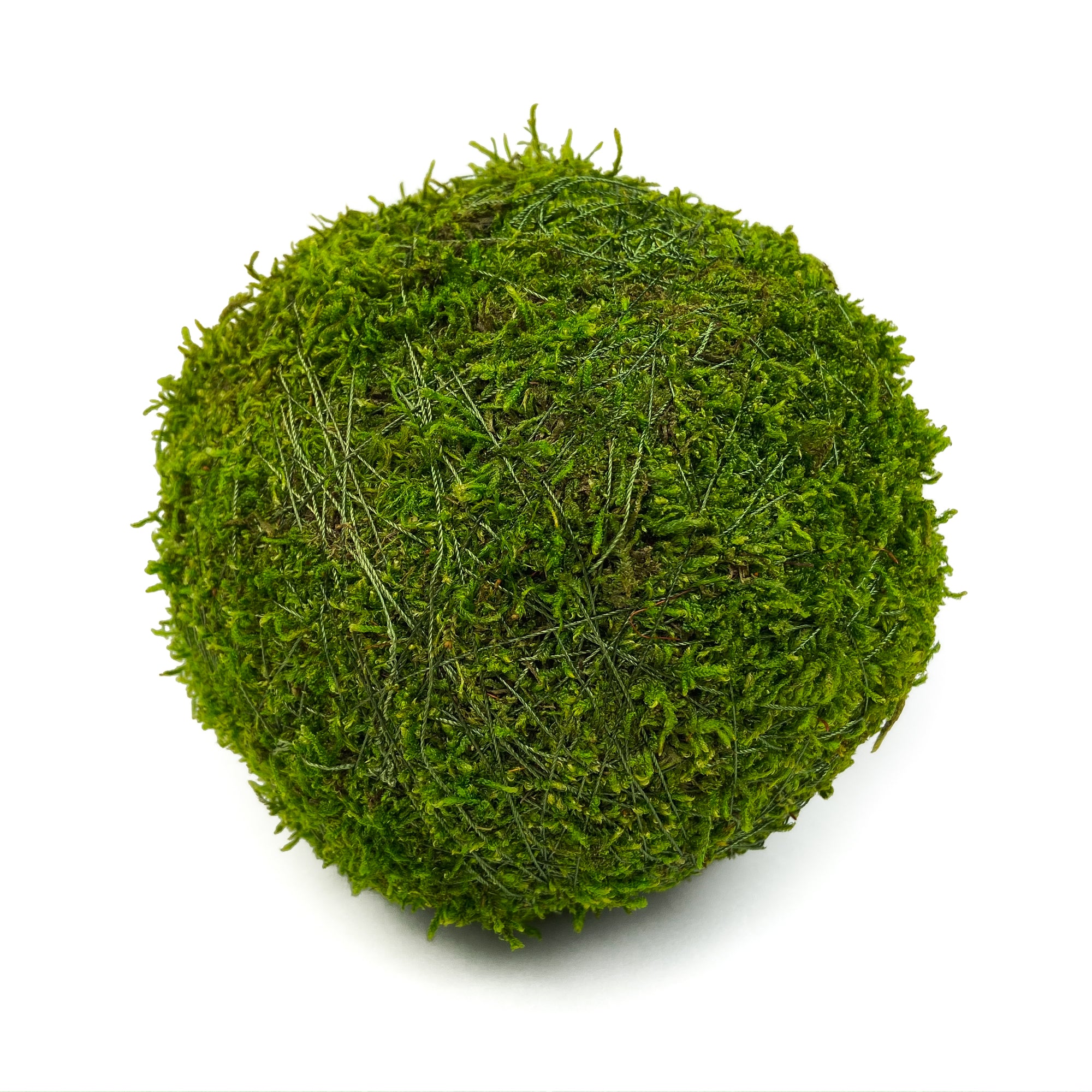 2 Decorative Moss Balls - 6 Pc.