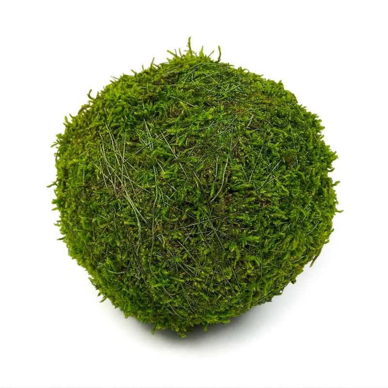 6pc Moss Balls, Decorative Balls | adamsbargainshop